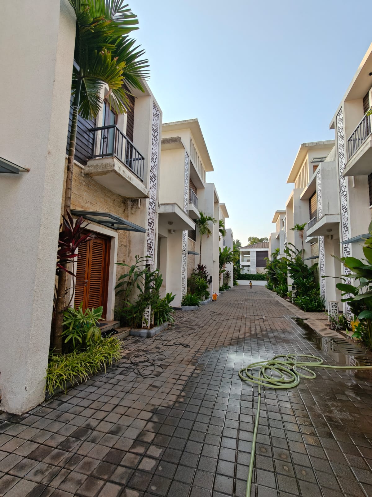 Anjuna - Image 6