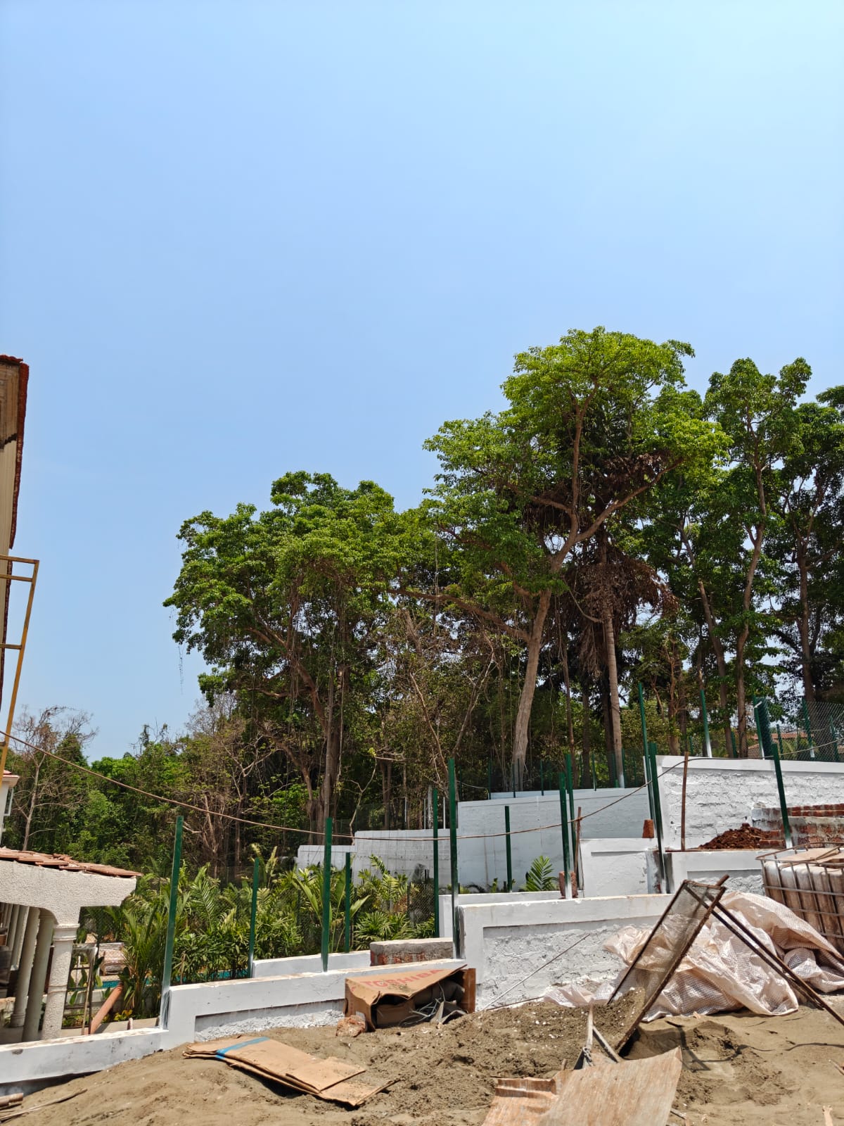 Aldona - Image 6