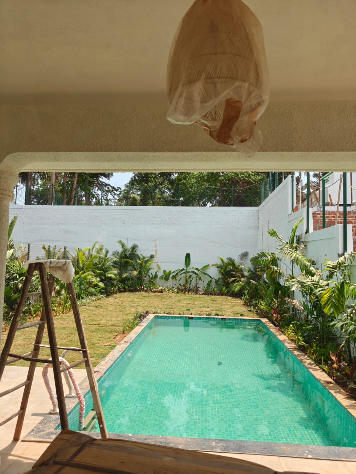 Aldona - Image 13