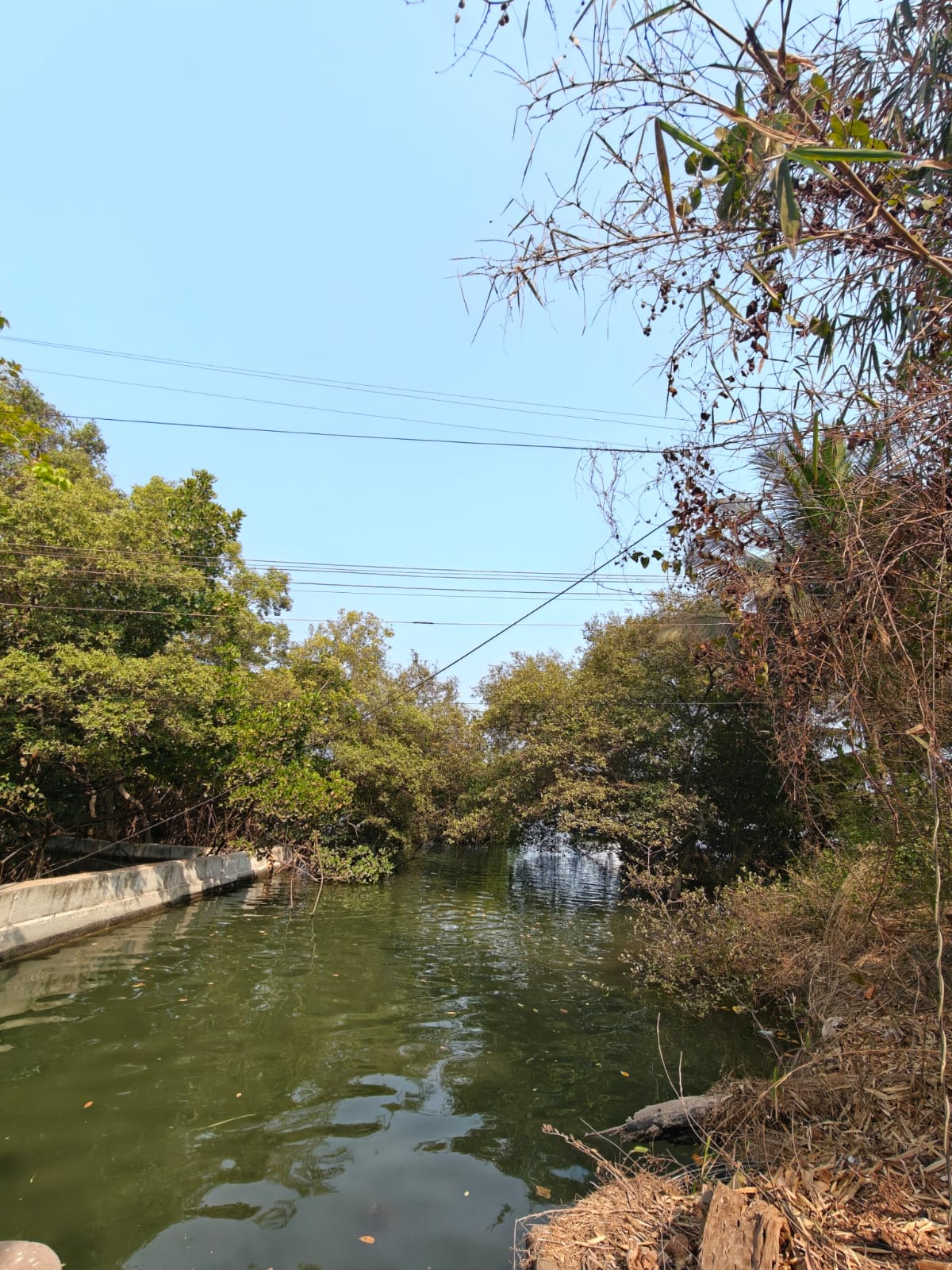 Porvorim - Image 4